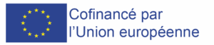 Emblème UE_Print_Jaune et Bleu avec Contour Blanc et Mentions_Cofinancé Bleu (17)